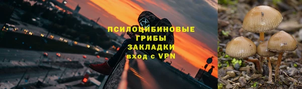 ALPHA-PVP Надым