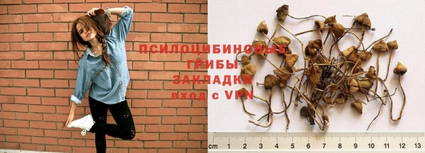 ГАЛЛЮЦИНОГЕННЫЕ ГРИБЫ Аша