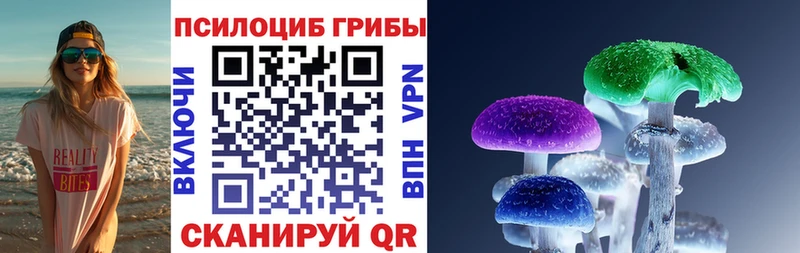 Галлюциногенные грибы Psilocybine cubensis  Усть-Лабинск 